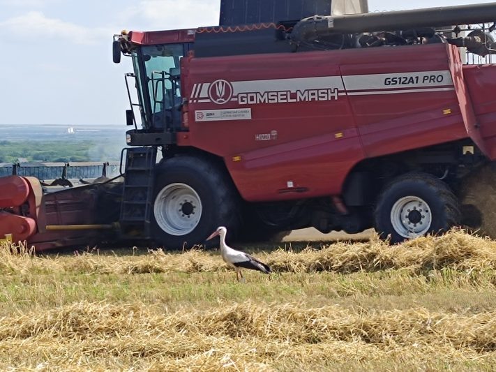 Фото: Серафима Малахова / "Курская правда"