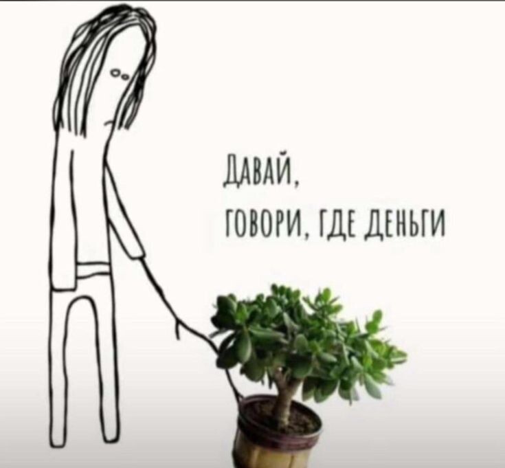 А еще у меня тоже есть денежное дерево. Ну просто потому, что цветы люблю. 