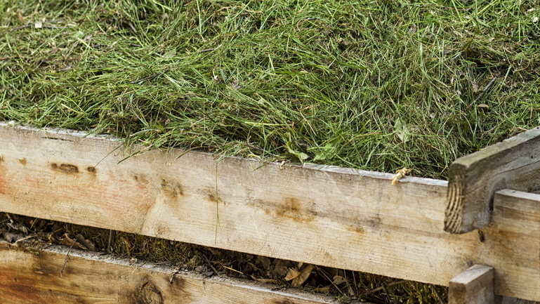 Сушка травы