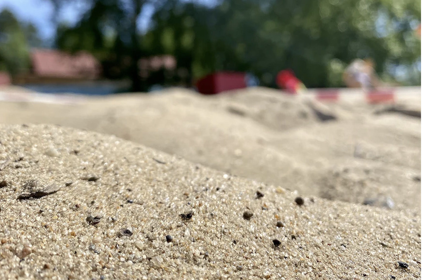    фото: unsplash.com Ольга Шмырева