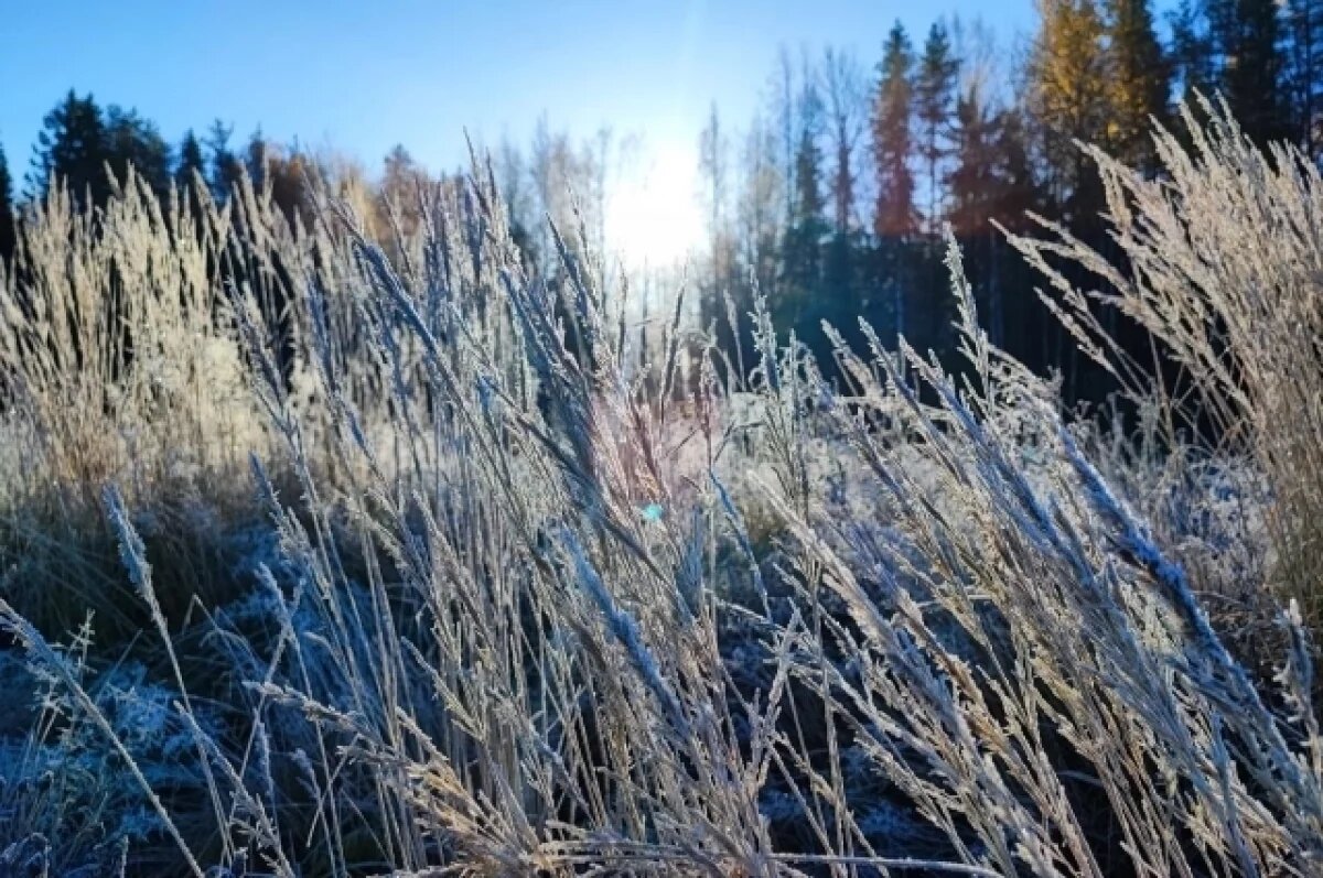    Синоптики прогнозируют в Тюмени мягкую и теплую зиму