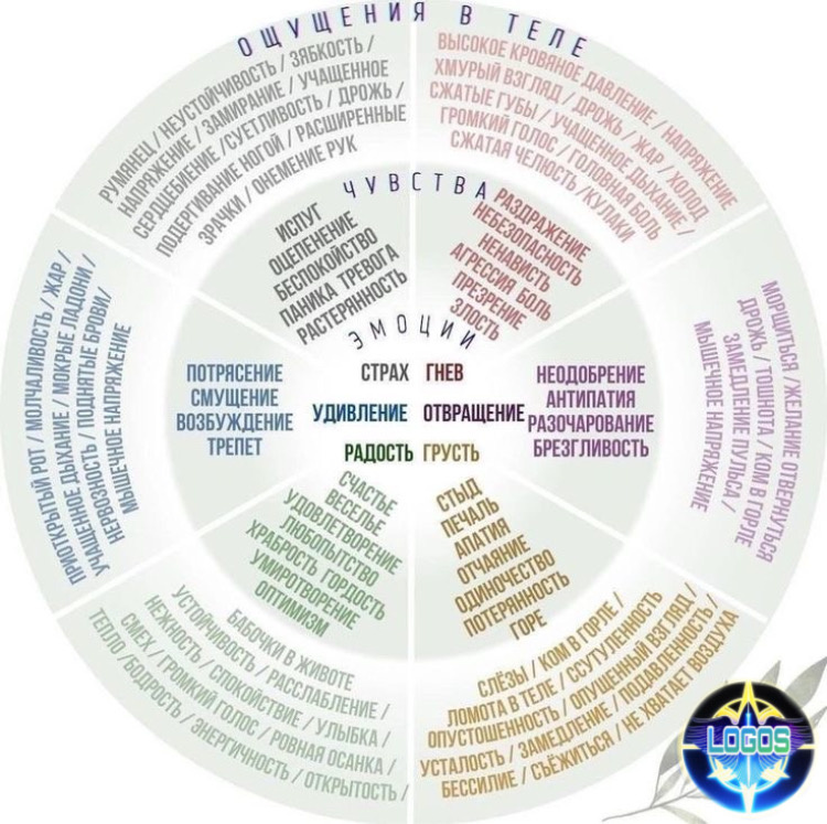 Источник Pinterest