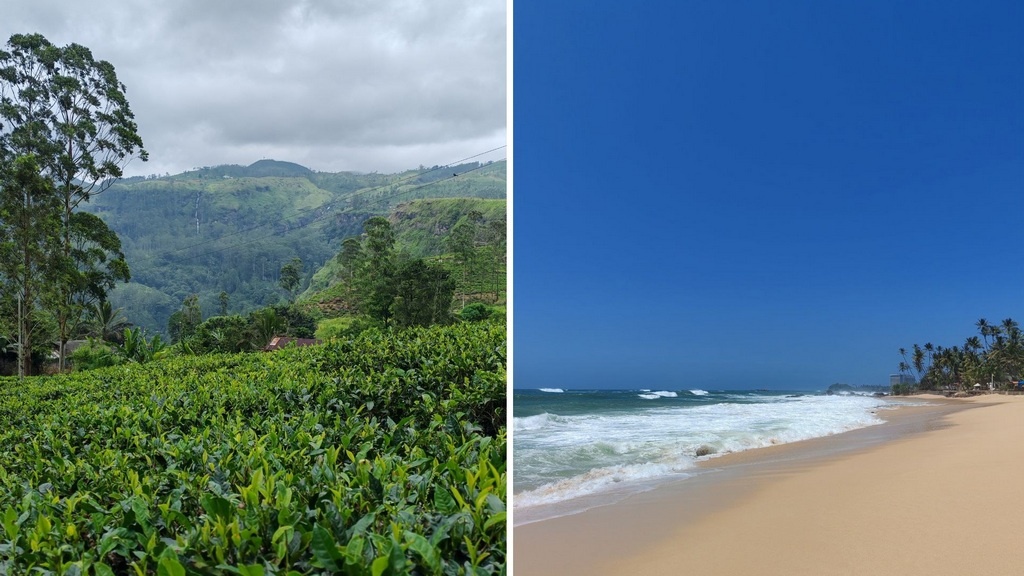 Фото предоставлены героиней статьи