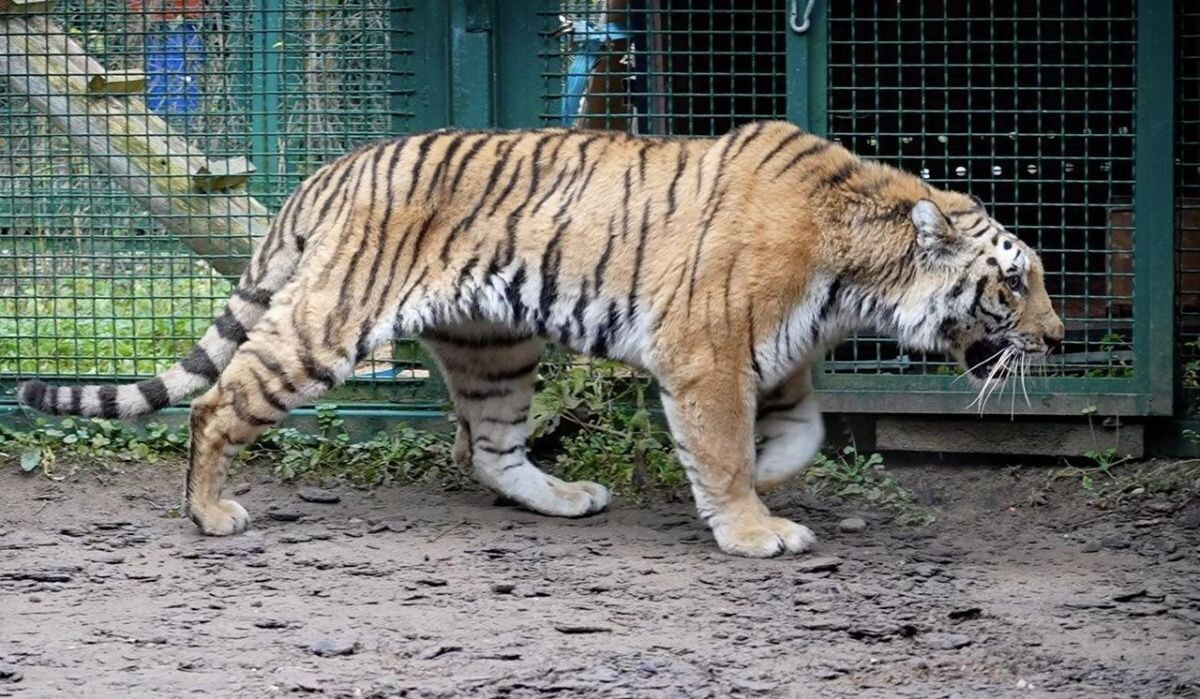     Источник: mos ru Автор фото: Пресс-служба Мэра и Правительства Москвы