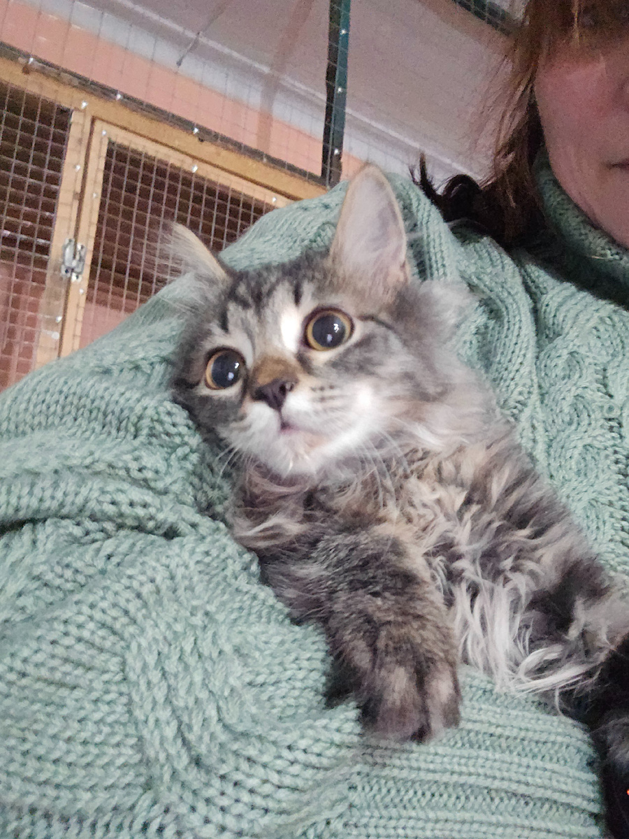 большие глаза полные тревоги и непонимания