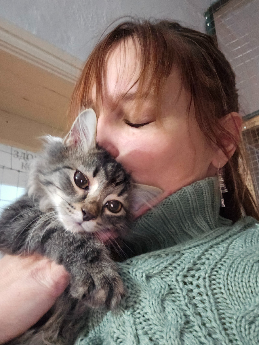 прижался к человеку ищет защиту тепло