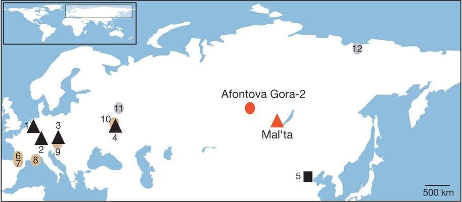 Фото из открытого доступа Сети и принадлежит своим хозяевам.