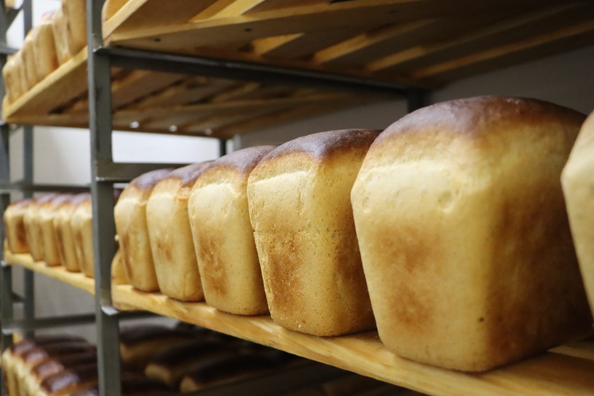    Фото: «Республика» / Илья Лапухин