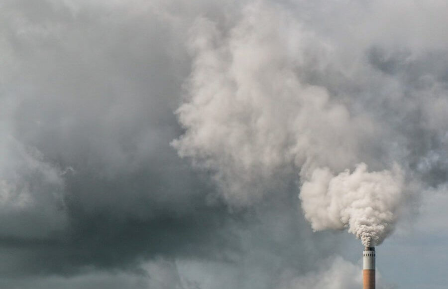    Фото: pixabay.com