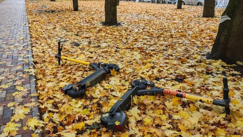      Фото: ИА «Победа26»