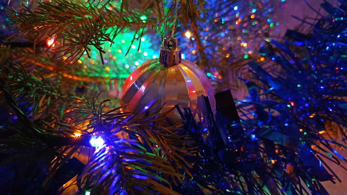 ФОТО: Царьград