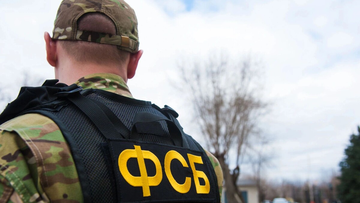    Фото: SGr/Shutterstock/Fotodom