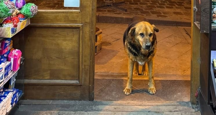    Фото Анастасии Дмитриевой