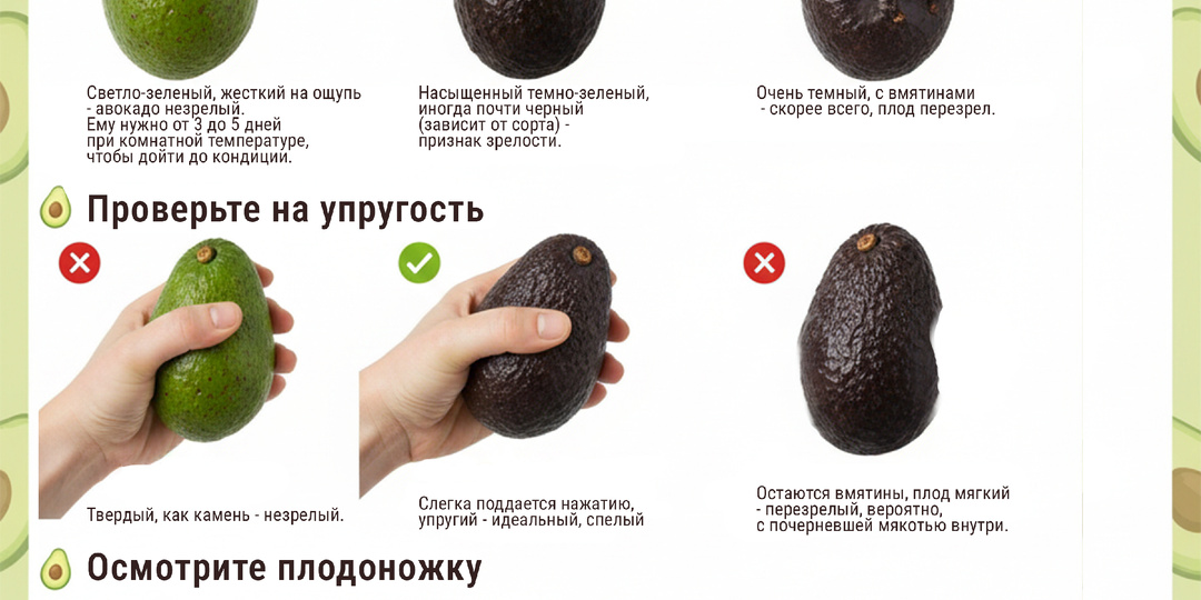 А вы знали❔Продолжаем тему. 🥑 Авокадо: как выбрать, не прогадать и даже вырастить свой собственный фрукт