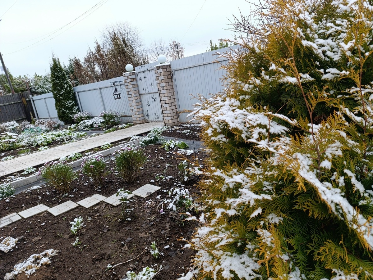    Фото: Редакция портала «Город Киров.RU»