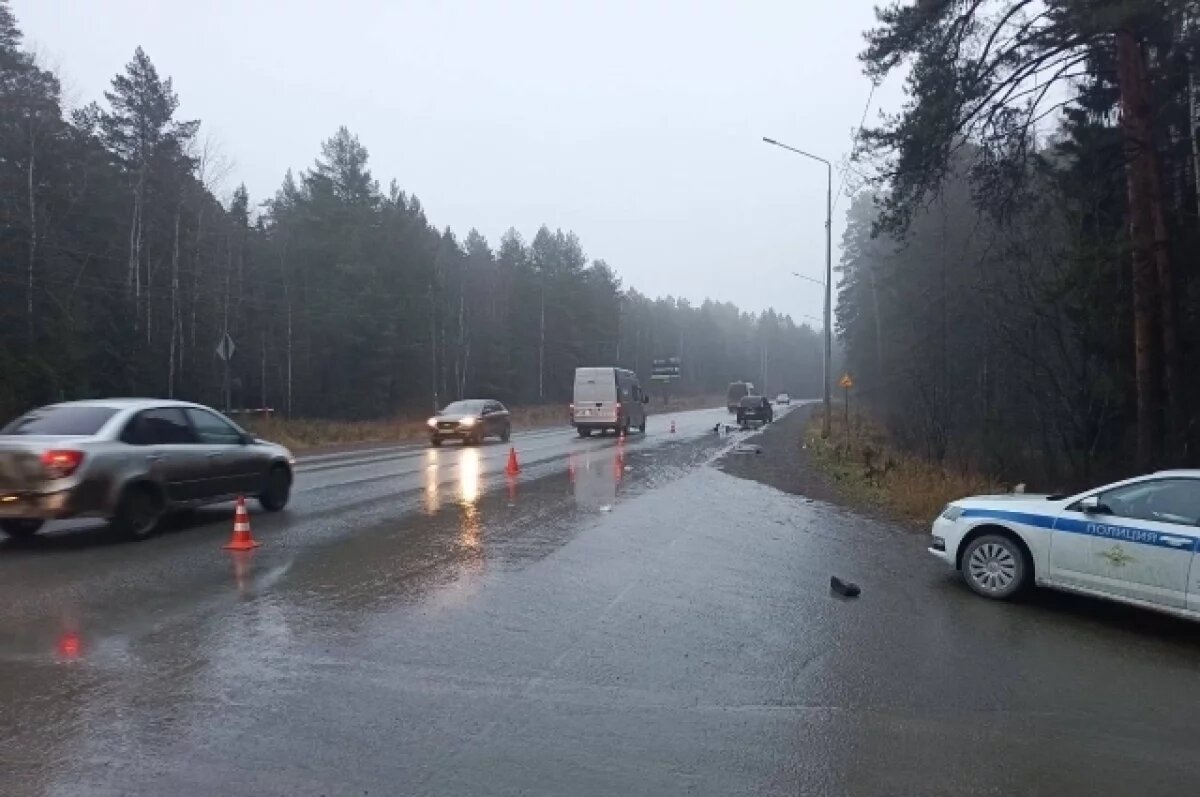    На трассе под Ижевском насмерть сбили пенсионера
