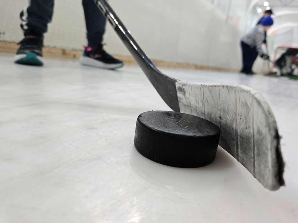    Фото: МедиаБанк Подмосковья/Яна Шаливская