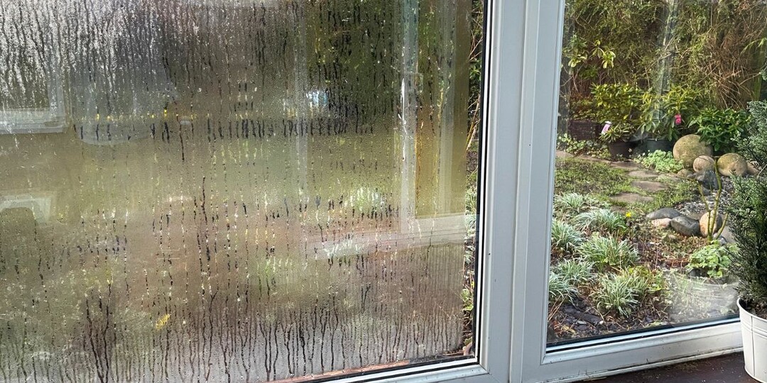 Конденсат на окнах: кто виноват и что делать, чтобы не завелась плесень