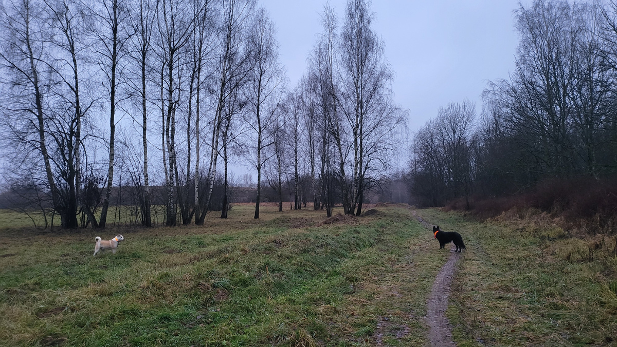 #первый день зимы