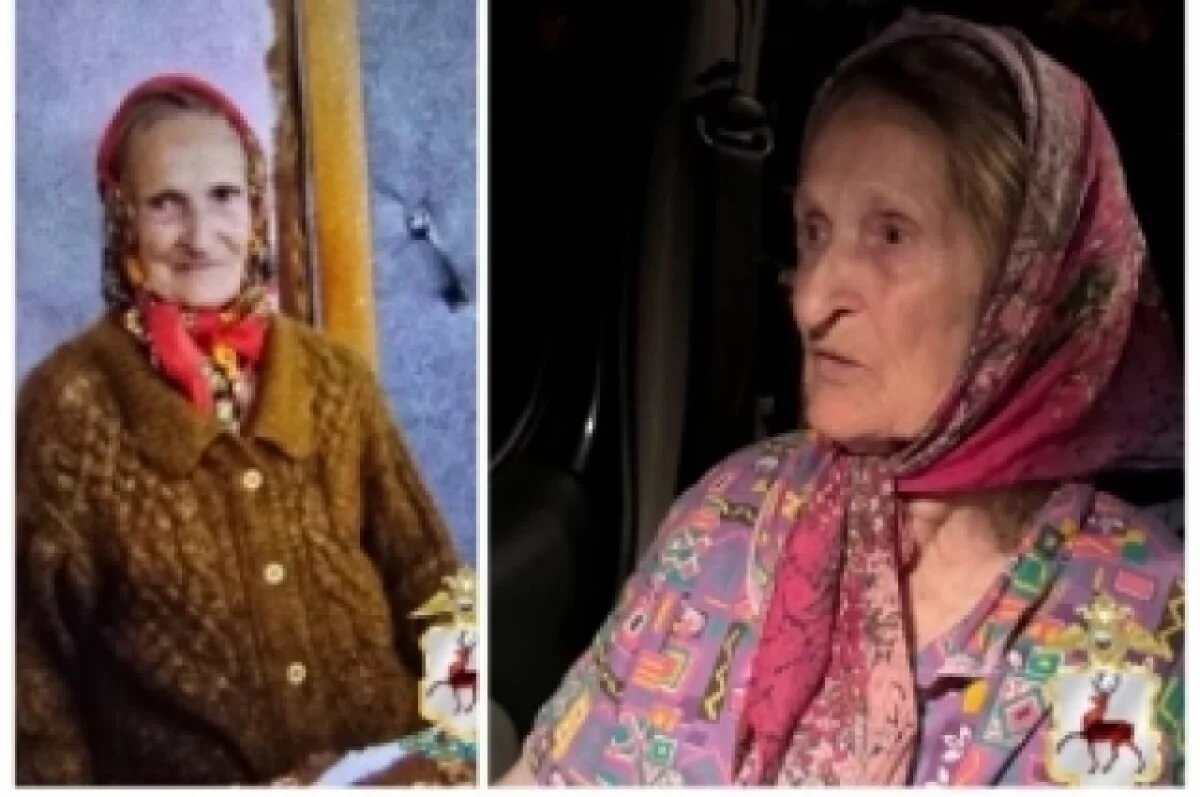    90-летняя женщина пропала в Нижегородской области