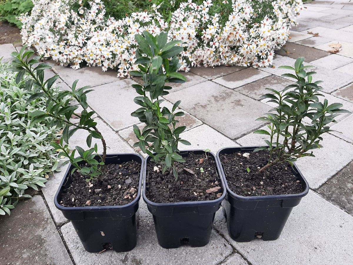 С надеждой на длительное сотрудничество