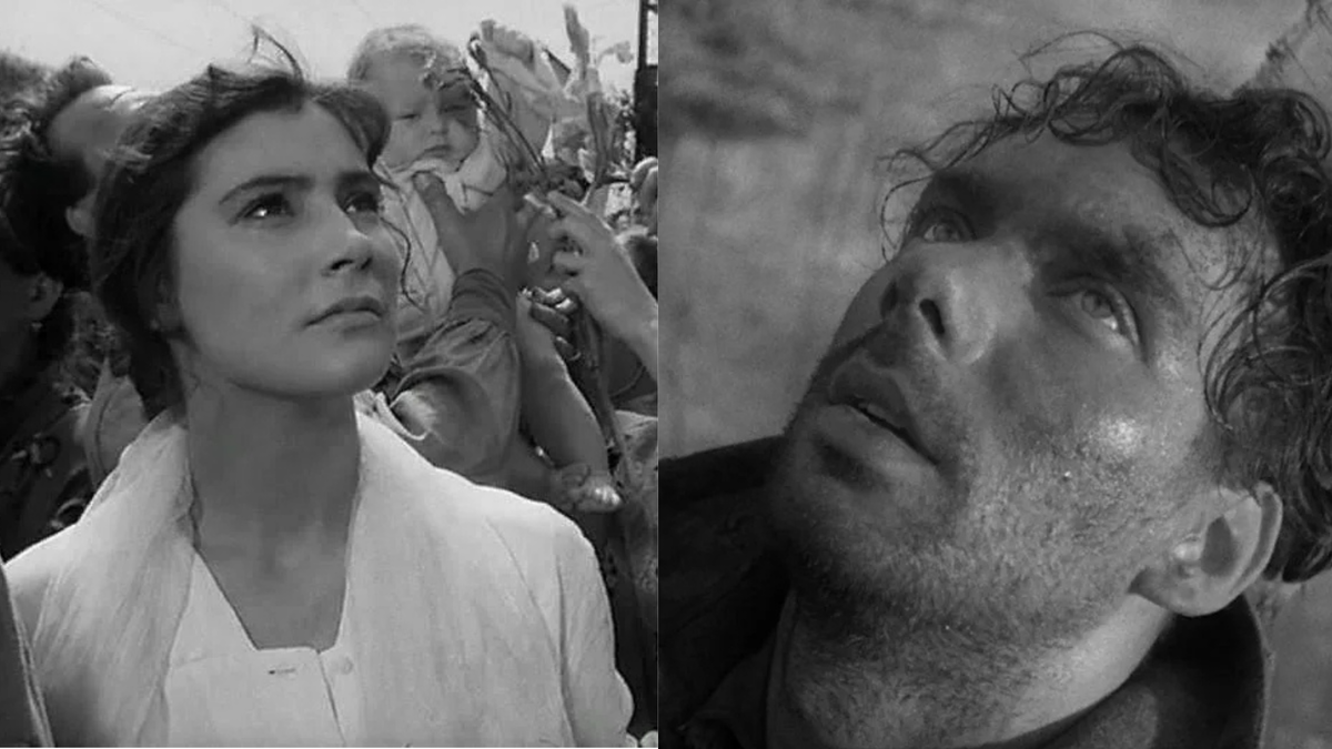 Кадры Летят журавли 