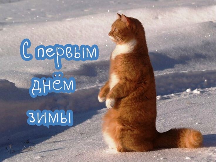 Яндекс Открытый источник 