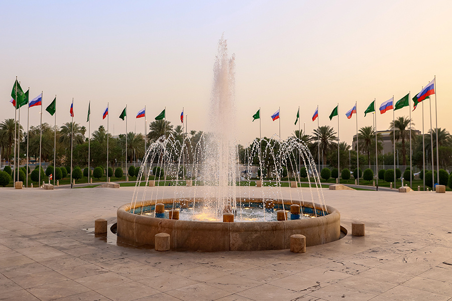    © Пресс-служба МИД РФ/ТАСС