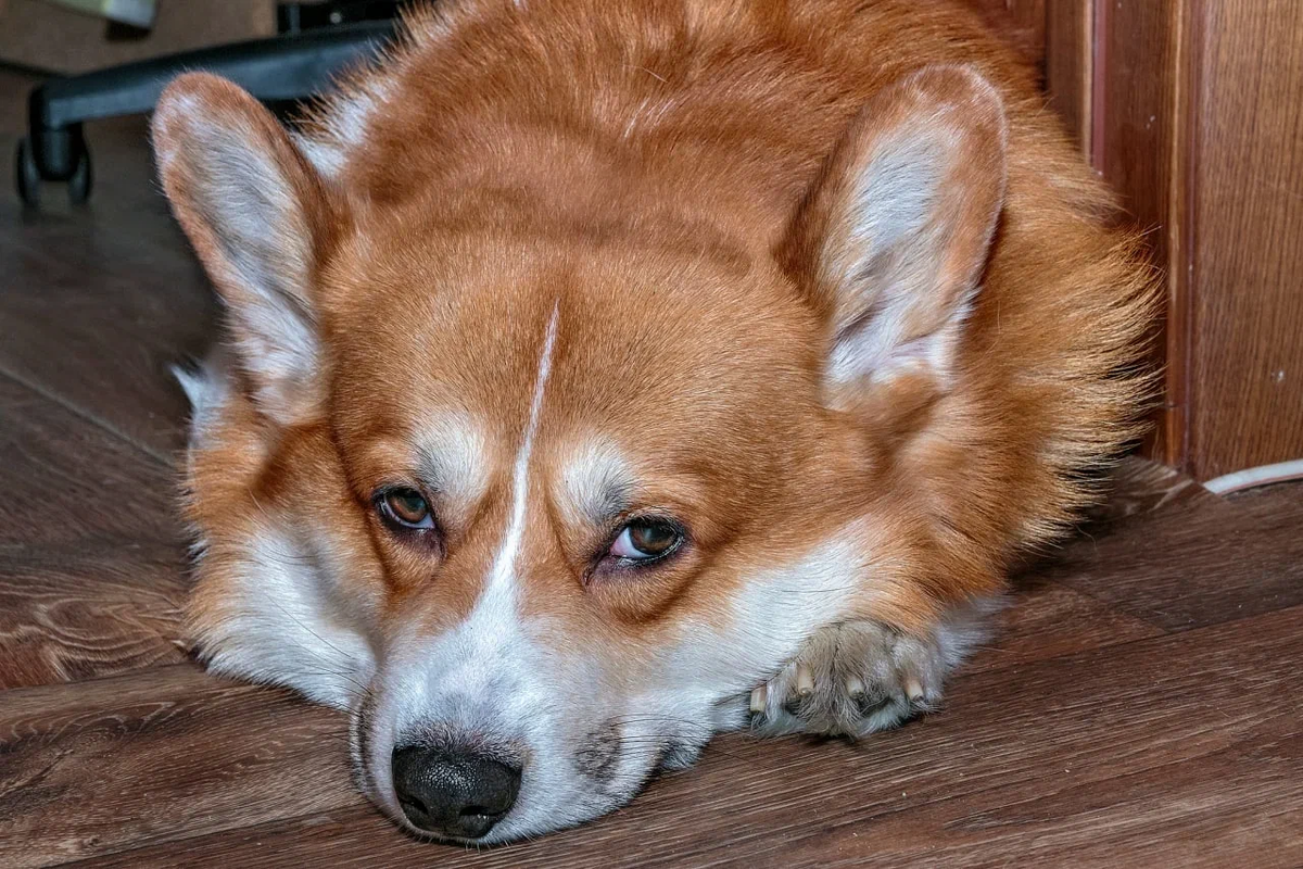 На диване мягче