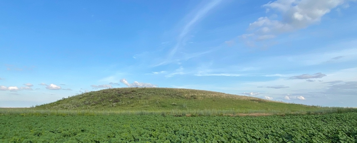 Курган 1 группы Высокая Могила