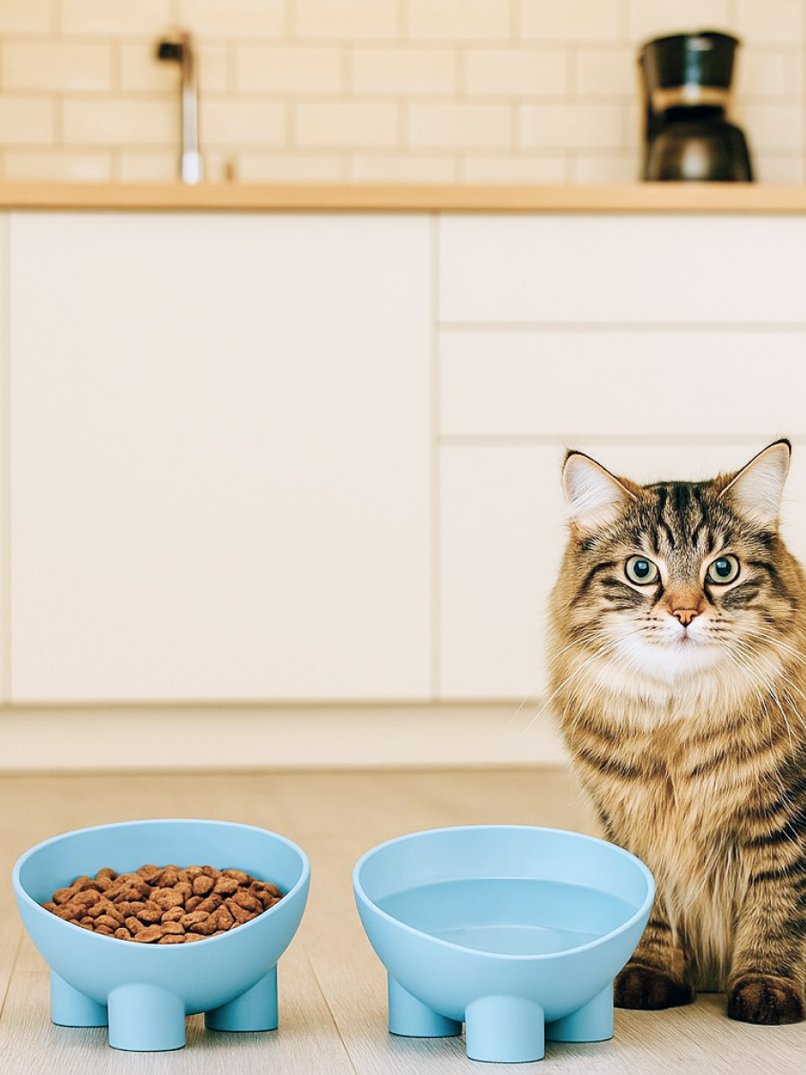 Миска для животных от компании М-пластика