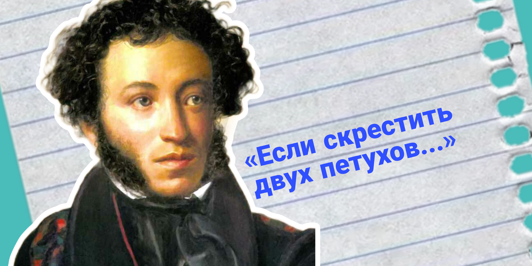 Смешные фразы из школьных сочинений и перлы учеников