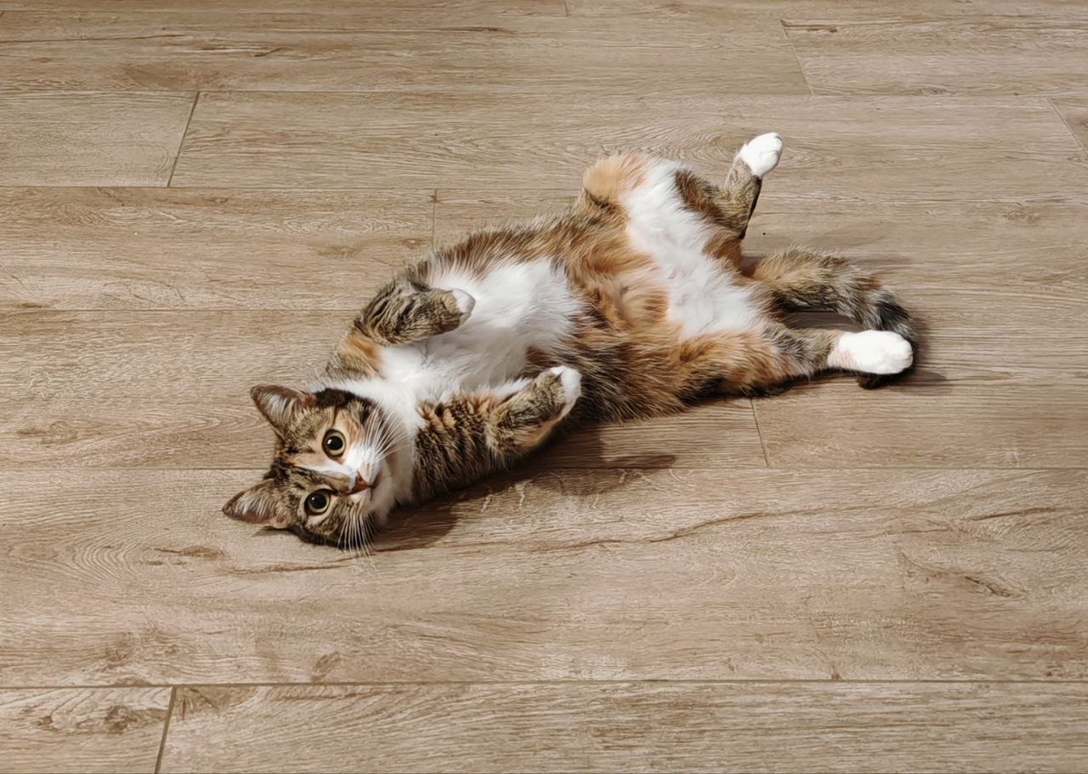 #Астропрогноз на 1-7 декабря 2025. Ключевые аспекты дня