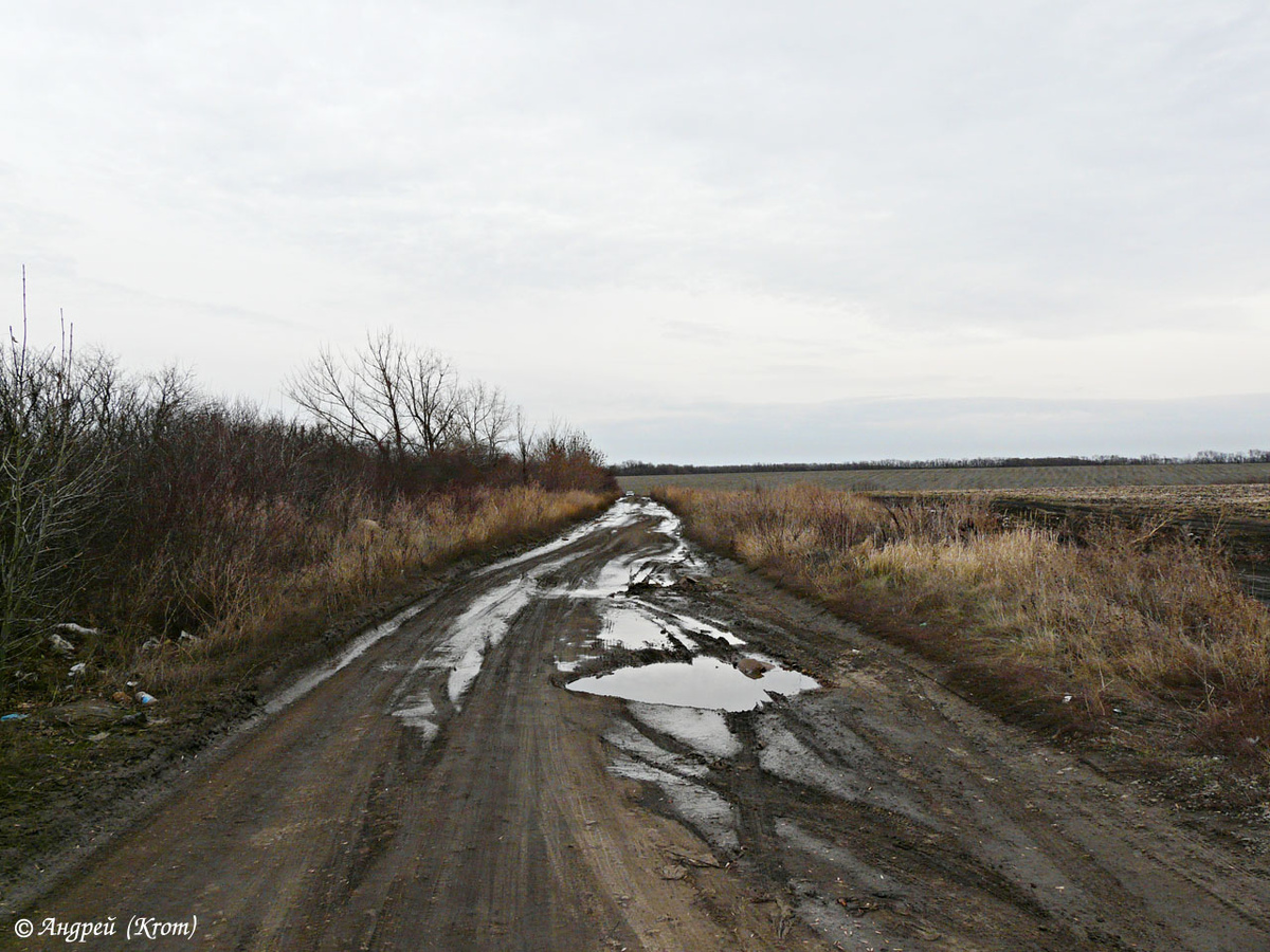 Здесь мы и шли