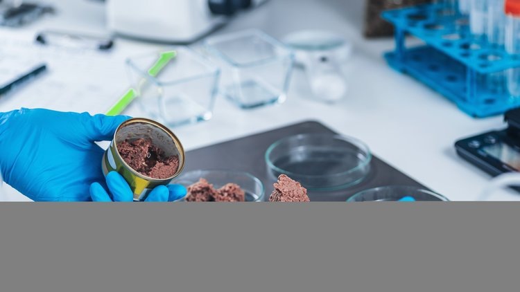    Фото: Федеральный центр охраны здоровья животных