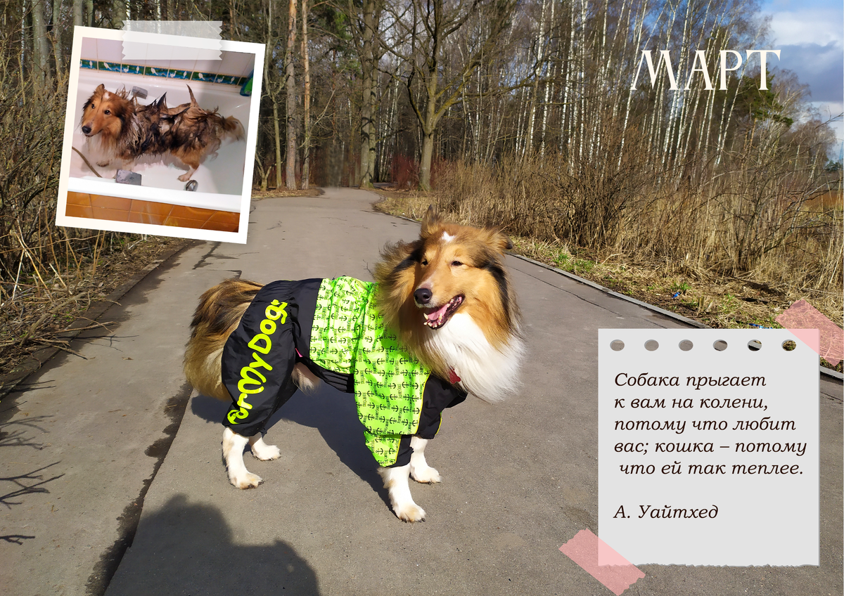 Фотке года три, а комбез этот на нем сейчас с трудом сходится ))