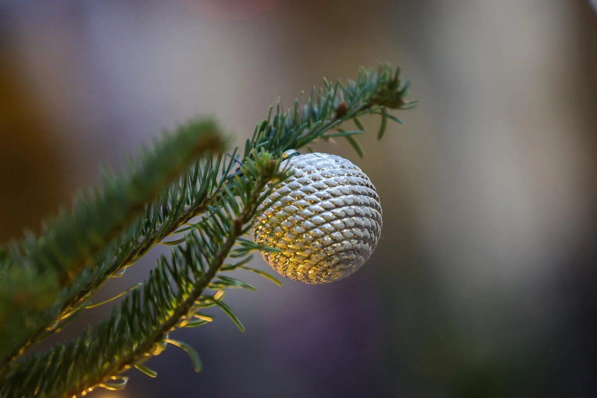 Фото: Shatokhina Natalia/news.ru/www.globallookpress.com