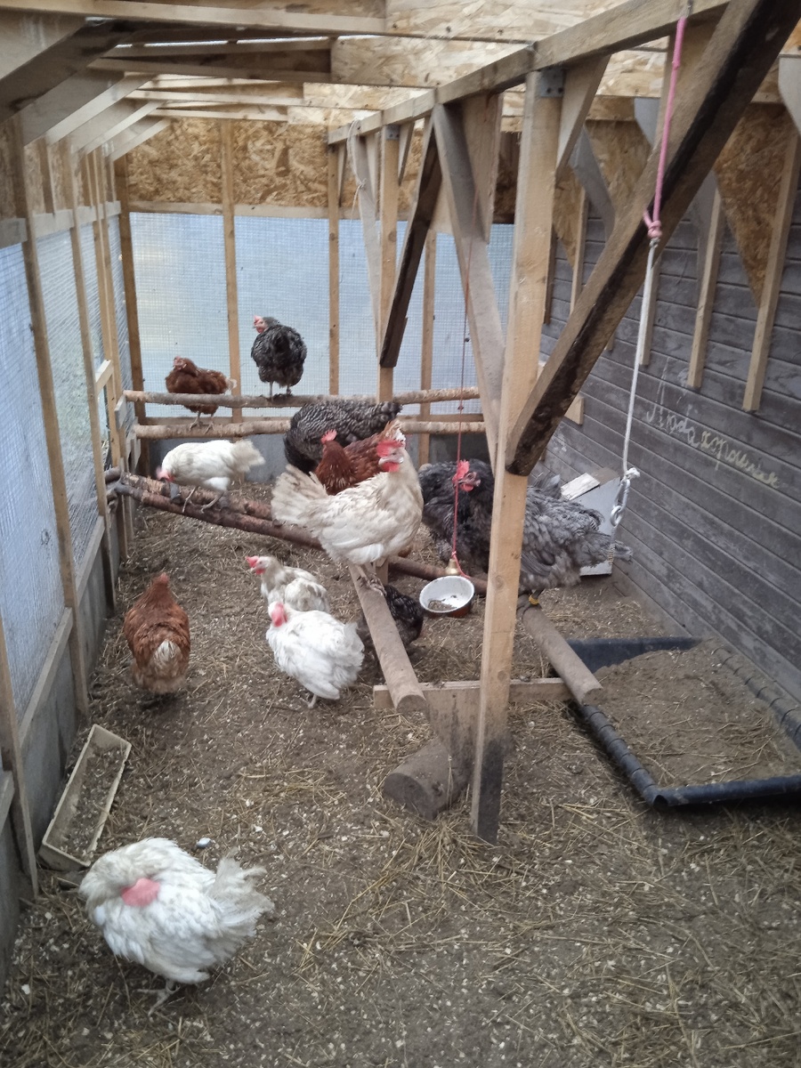 полузакрытая прогулочная зона