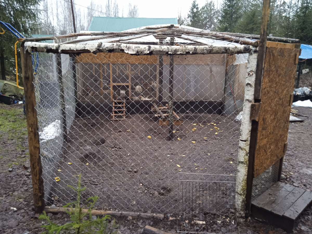 это открытая площадка для выгула