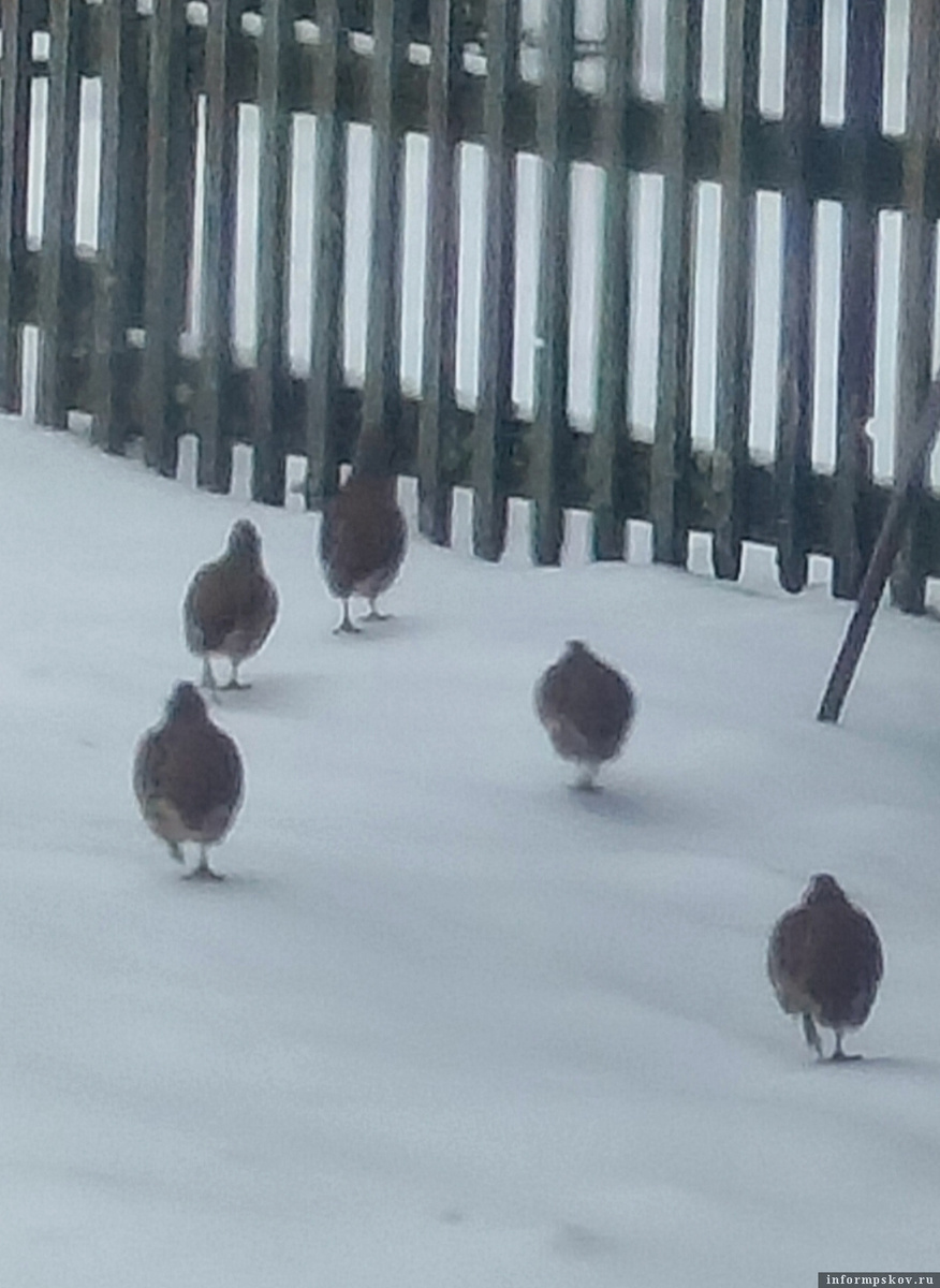 Фото: Наталья Степанова