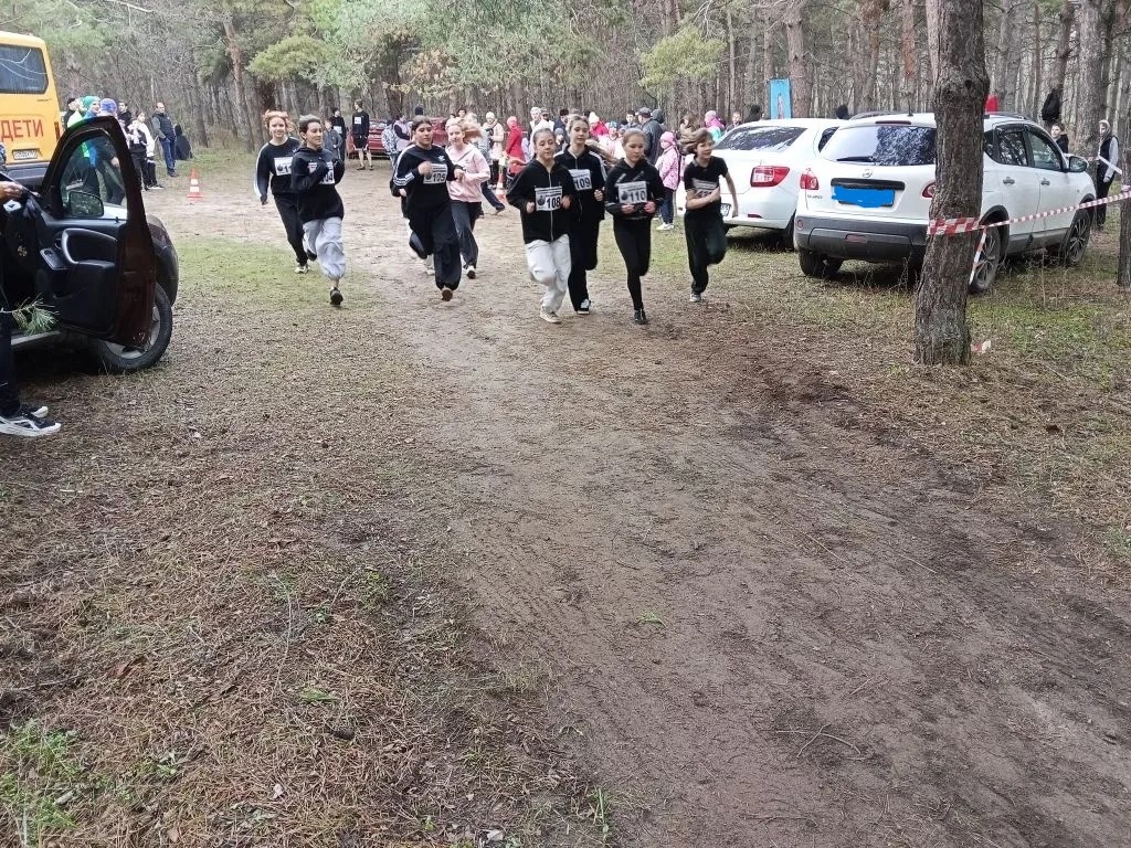 Фото Михайловской СОШ Диана Огнева  📷
