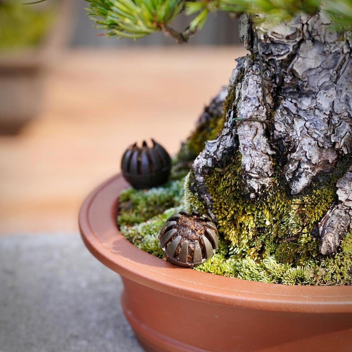 Почему именно «колобки»?