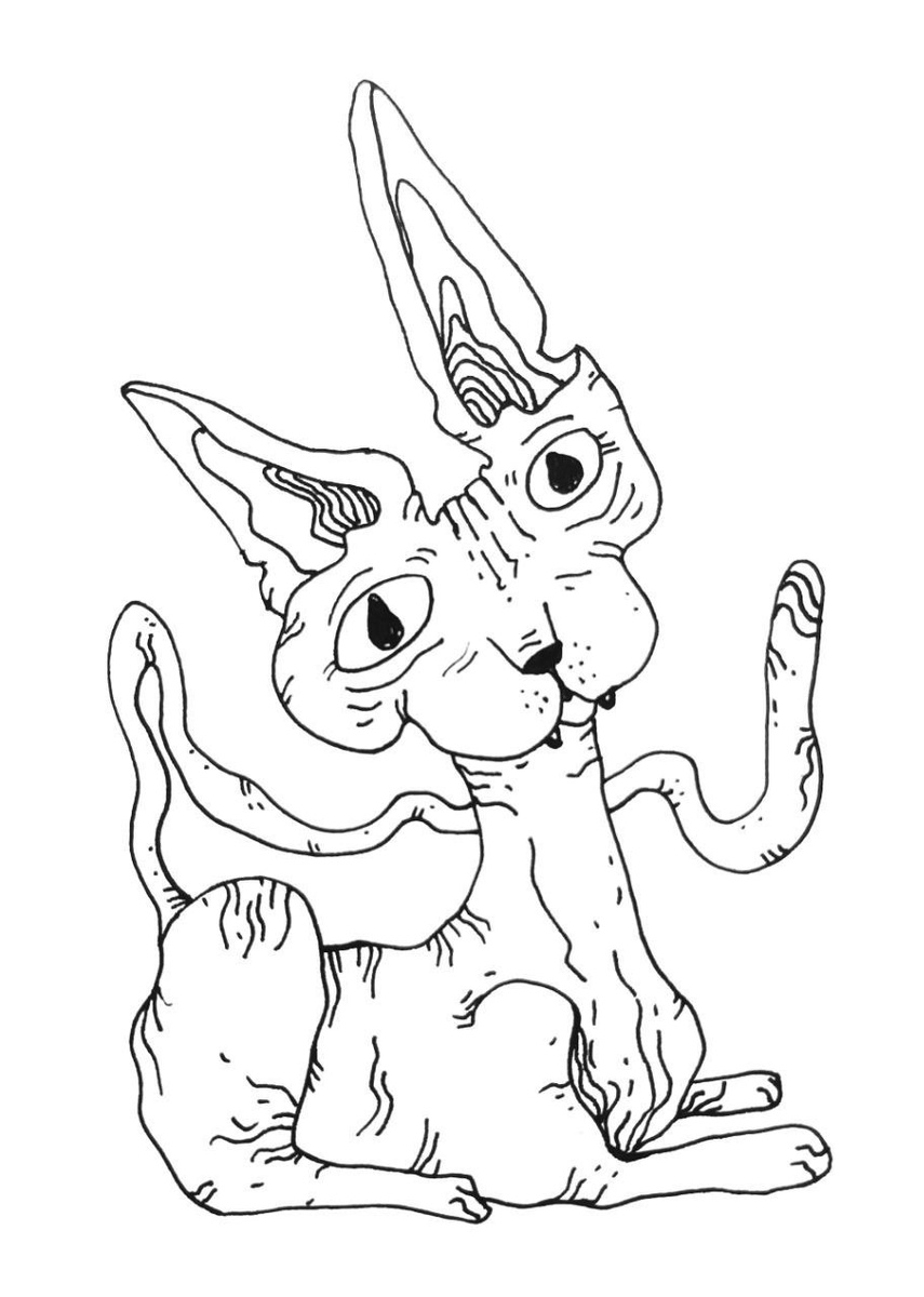 Рисунок Анны Бурдиной