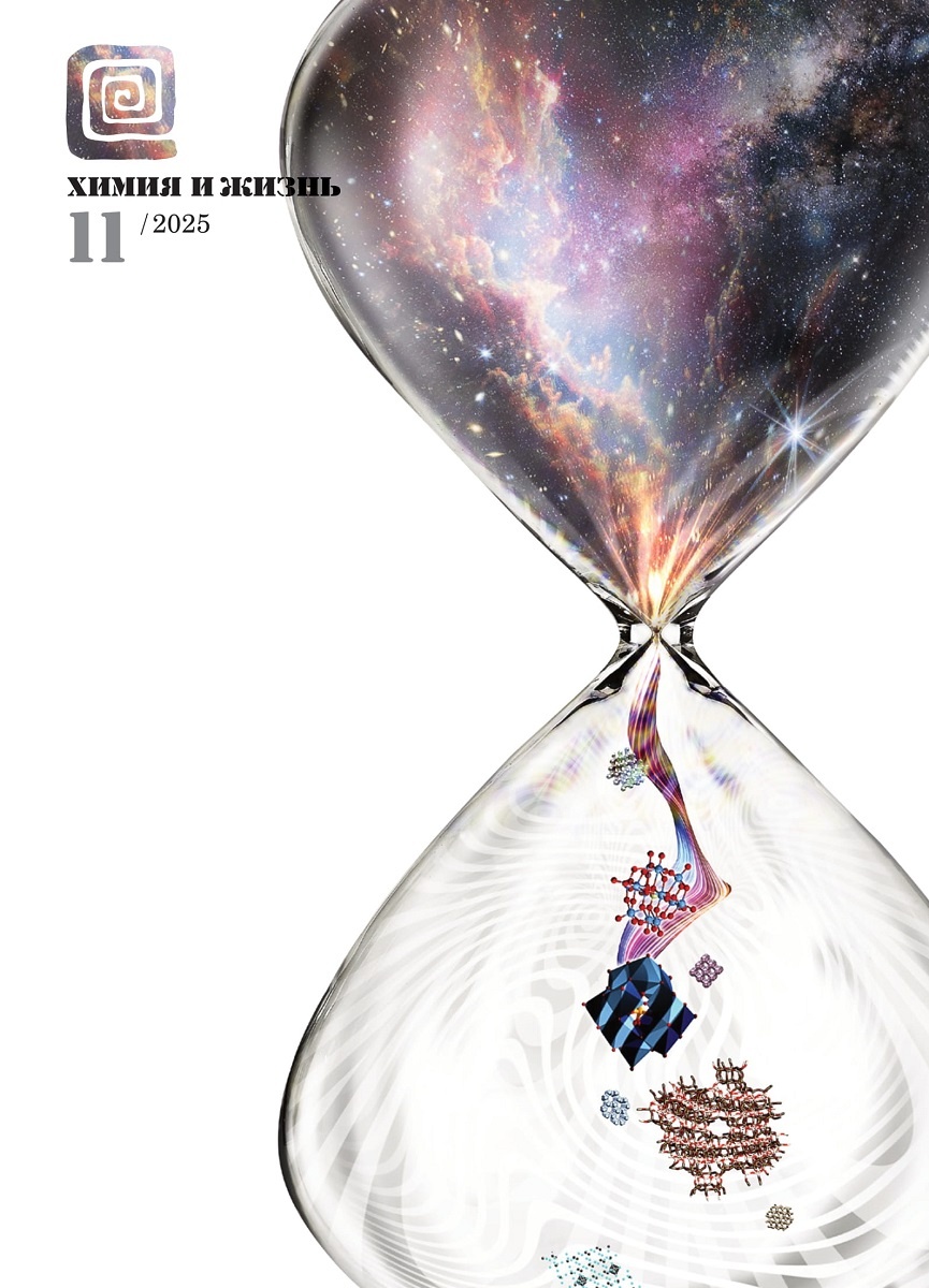 Дизайн обложки: Александр Кук