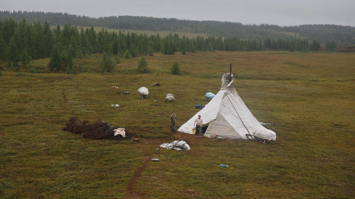    Фото: Андрей Ткачев/«Ямал-Медиа»