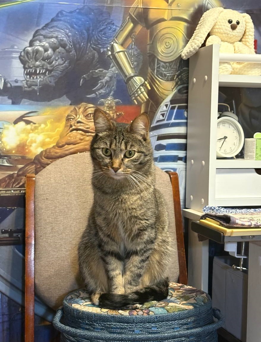 Кот Умка - хранитель вязального сундучка