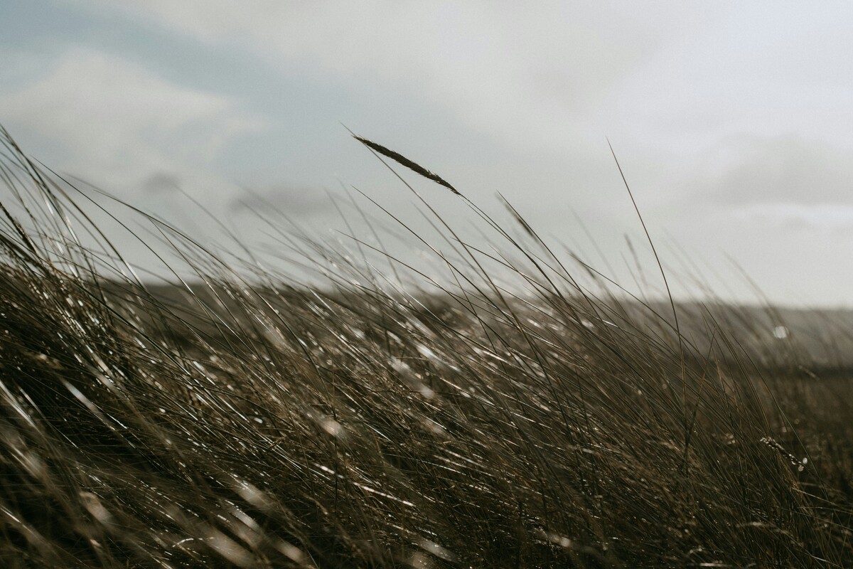    Фото: Синитта Леунен / Unsplash