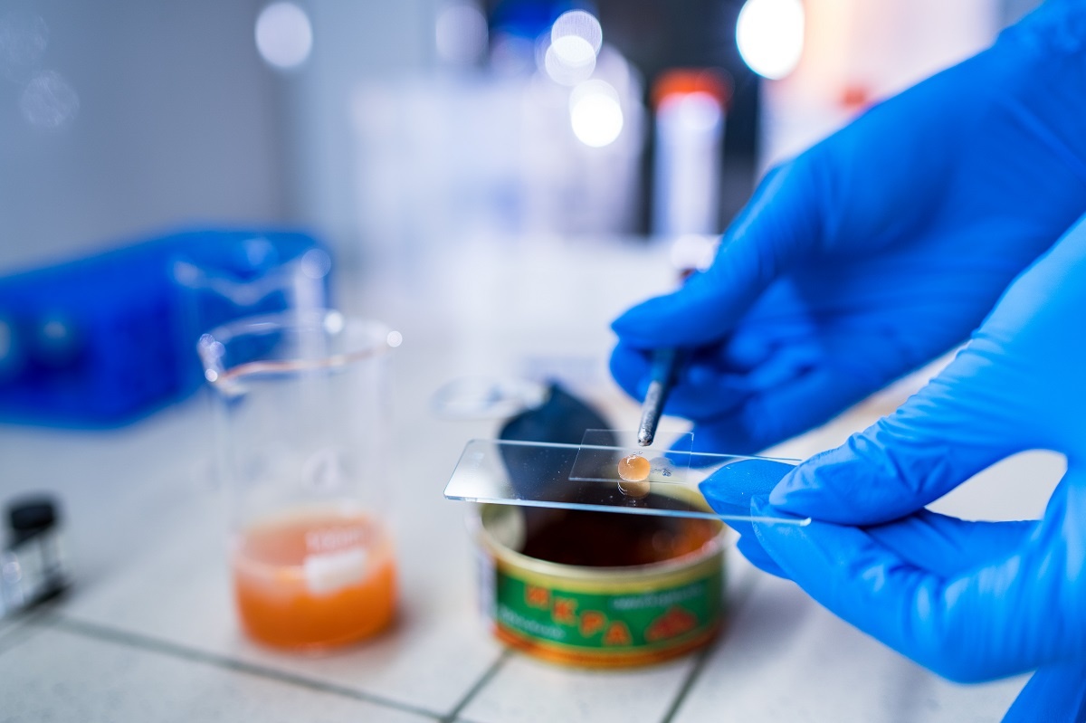 Фото: Александр Плонский / «ВиЖ»