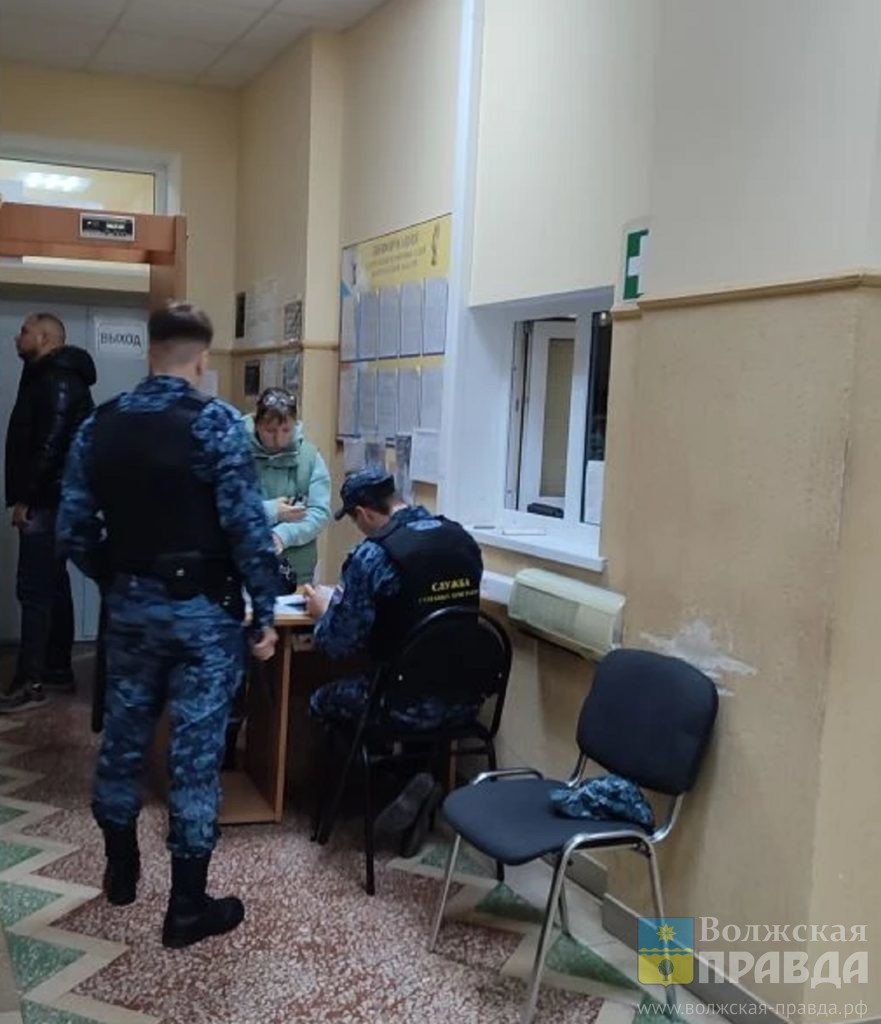     Линия защиты — умысла не имел: в Волжском стартовал судебный процесс по убийству собаки Лесси
