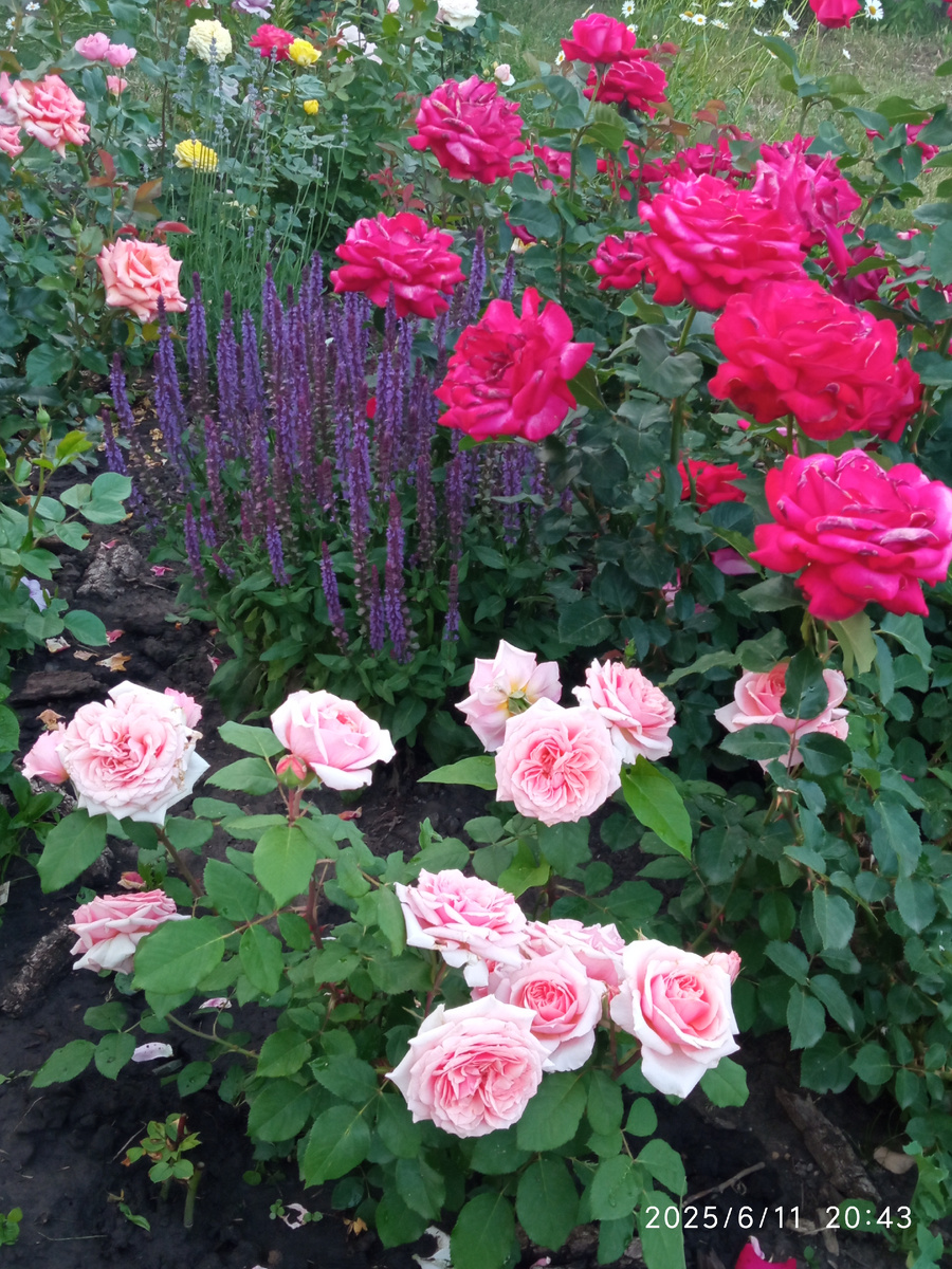 фото личное